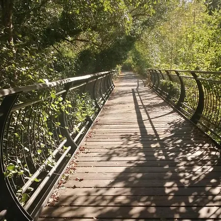El Palomar *