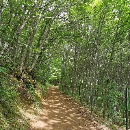El Palomar Сasa de vacaciones El Pedroso